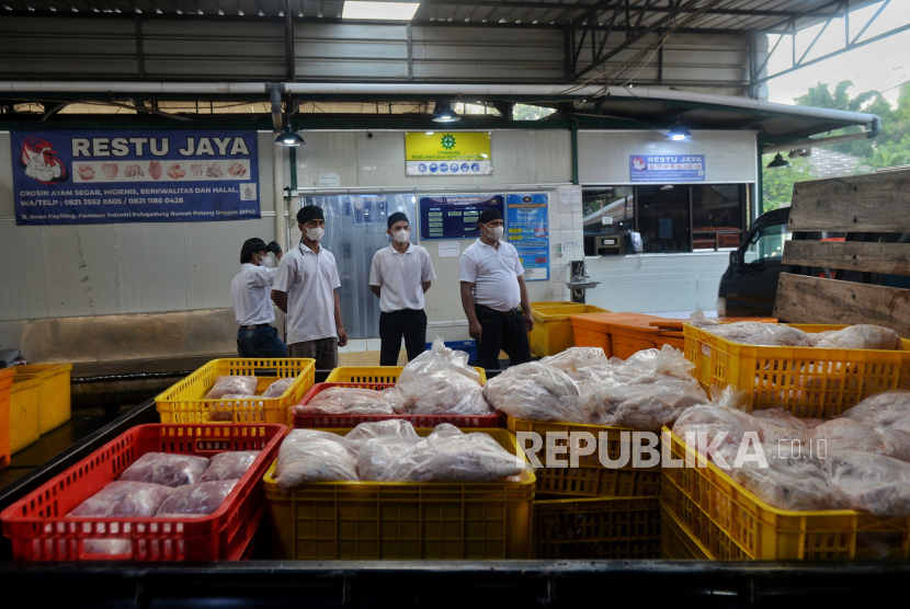 Pekerja bersiap mendistribusikan daging ayam di Rumah Potong Hewan Unggas (RPHU).