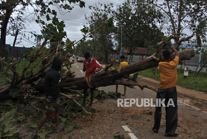 Petugas Menemukan 17 Jenazah Korban Banjir di Alor. Sejumlah warga menebang pohon yang tumbang akibat diterjang angin kencang di Kota Kupang, NTT, Senin (5/4/2021). BMKG menyebutkan angin kencang dengan kecepatan 45 knot per jam yang terjadi sejak Minggu (4/4) hingga Senin (5/4) tersebut menghancurkan ribuan rumah, menumbangkan sejumlah pohon sehingga mengakibatkan kota Kupang lumpuh total hingga sore ini.