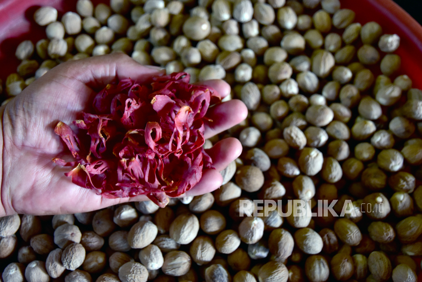 Seorang pedagang menunjukkan komoditi fuli di toko pengepul rempah di Kota Ambon, Maluku, Rabu (7/7/2021). 
