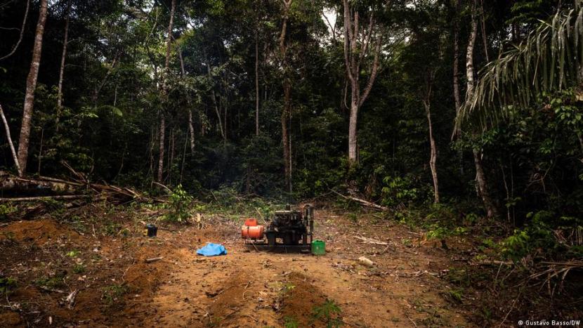 WWF: Uni Eropa Bersalah Atas Kerusakan Hutan Tropis