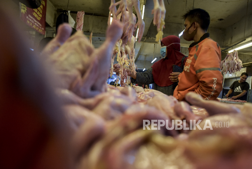 Pembeli memilih daging ayam di salah satu kios di Pasar Kosambi, Kota Bandung, Kamis (10/3/2022). Pemerintah berupaya untuk bisa menjaga stabilitas harga daging dan telur ayam ras di tingkat konsumen pada tahun 2022 menyusul produksi daging dan telur ayam ras yang diprediksi surplus. 