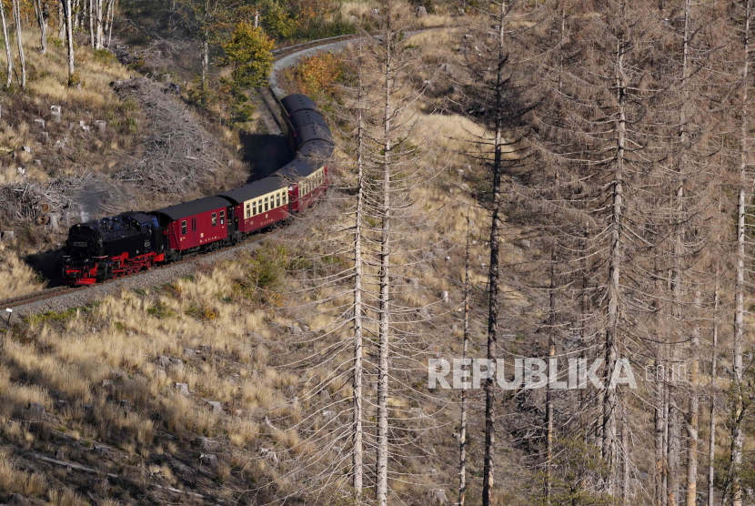 Kereta uap melewati pegunungan Harz yang dihancurkan oleh kumbang kulit kayu dan kekeringan di dekat stasiun kereta Drei Annen Hohne, Jerman, Jumat, 7 Oktober 2022. Pakar lingkungan yang juga Dosen Sekolah Ilmu Lingkungan Universitas Indonesia Mahawan Karuniasa mengungkapkan bahwa generasi muda perlu dilibatkan dalam berbagai kegiatan yang bertujuan untuk pengendalian perubahan iklim.