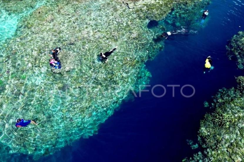 Indonesia Pastikan Program Konservasi Terumbu Karang Tetap Berjalan