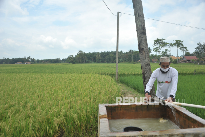 Petani memperbaiki arah aliran air yang didapat dari pompa listrik di kawasan persawahan Desa Durian Kelurahan Veteran Kabupaten Ogan Komering Ulu Timur (OKUT), Sumatra Selatan. 