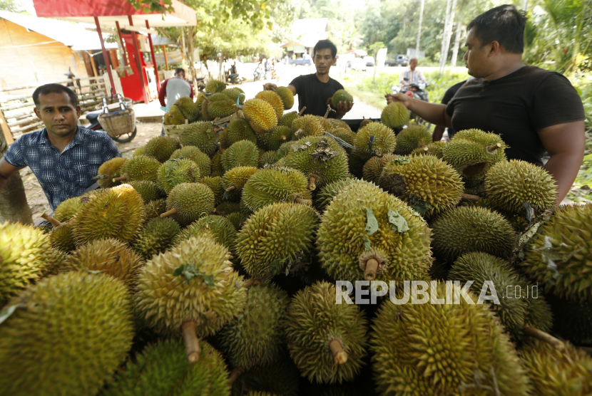 Ribuan Durian Agam Dikirim ke Jakarta dan Riau Setiap Hari. Ilustrasi