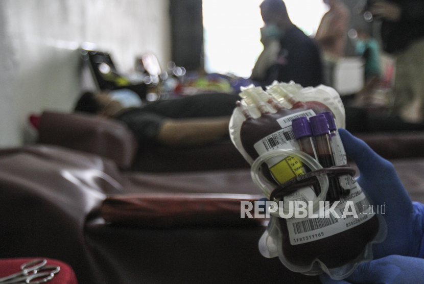 Petugas PMI menunjukkan kantong darah saat doror darah di kawasan Mampang, Kota Depok, Jawa Barat, Ahad (30/1/2022).