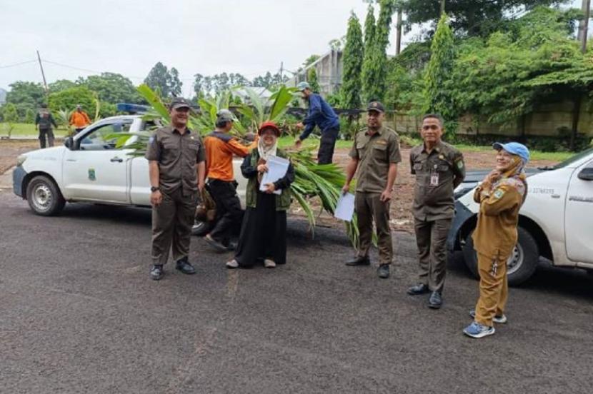20 Ribu Bibit Kelapa Genjah Disalurkan ke Masyarakat Tangerang