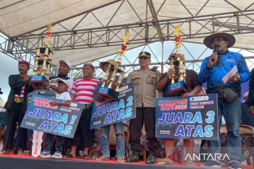 Pemkab seleksi pasangan sapi kerap untuk Piala Presiden RI 2025.