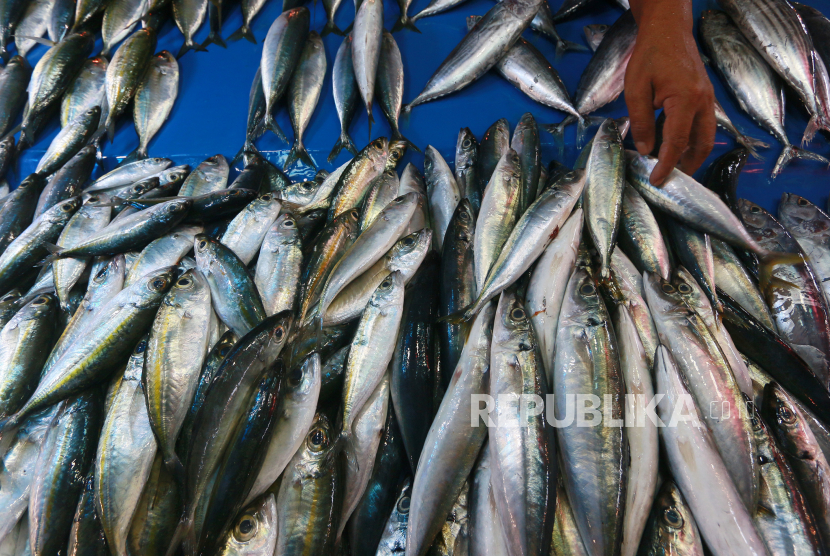 Seorang pedagang menata ikan cakalang dan kembung di lapak pasar . ilustrasi