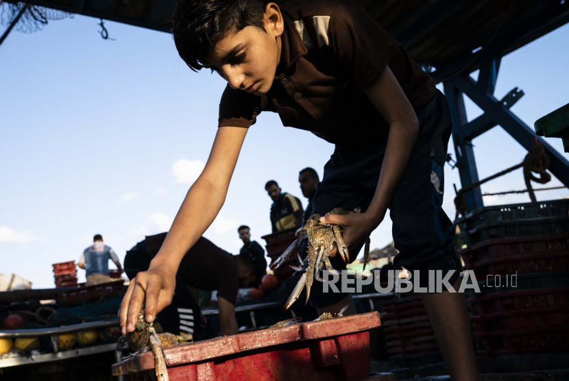 Seorang nelayan muda menyortir kepiting sebelum mengirimkannya ke pasar setelah sejumlah kapal diizinkan kembali ke laut setelah gencatan senjata tercapai setelah perang 11 hari antara penguasa Hamas di Gaza dan Israel, di Kota Gaza, Minggu, 23 Mei 2021. Peternakan Ikan Air Tawar Pertama di Gaza Diharapkan Perbaiki Ekonomi Palestina