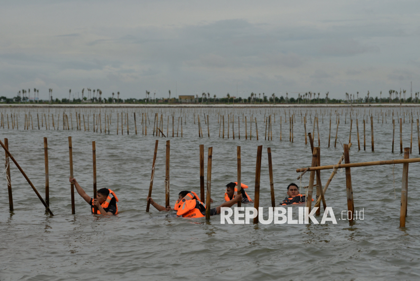 Personil TNI AL bersama warga membongkar pagar laut di Perairan Tanjung Pasir, Kabupaten Tangerang, Banten, Sabtu (18/1/2025). TNI Angkatan Laut bersama dengan nelayan membongkar pagar laut misterius sepanjang 30,16 km di Kabupaten Tangerang, secara manual. Pembongkaran pagar laut dipimpin langsung oleh Komandan Pangkalan Utama AL (Danlantamal) III Jakarta Brigadir Jenderal (Mar) Harry Indarto.