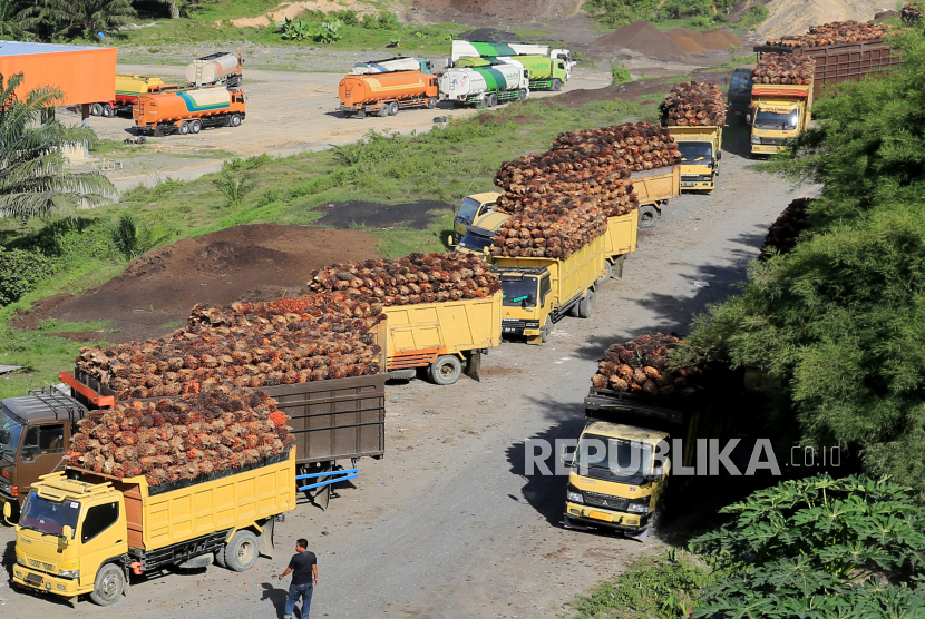 Sejumlah truk pengangkut Tanda Buah Segar (TBS) kelapa sawit mengantre untuk pembongkaran di salah satu pabrik minyak kelapa sawit milik PT.Karya Tanah Subur (KTS) Desa Padang Sikabu, Kaway XVI, Aceh Barat, Aceh, Selasa (17/5/2022). 