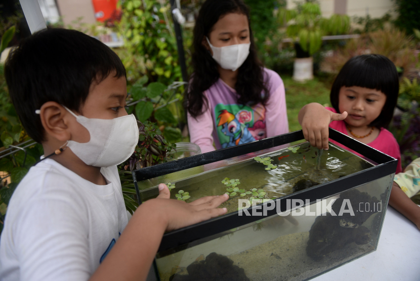 Sejumlah anak memberi makan ikan di ruang edukasi anak di halaman Kantor Kelurahan Karet, Jakarta, Rabu (7/4). Ruang terbuka yang berkonsep kebun binatang mini (mini zoo) ini memiliki sejumlah koleksi hewan peliharaan seperti kelinci, burung dan ikan hias. Adanya mini zoo tersebut berfungsi sebagai ruang interaksi serta sarana edukasi bagi warga.