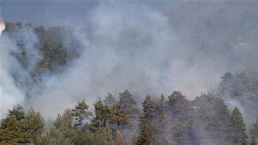 Kebakaran melanda hutan seluas 20.000 hektare di Provinsi Oristano sejak Sabtu malam.