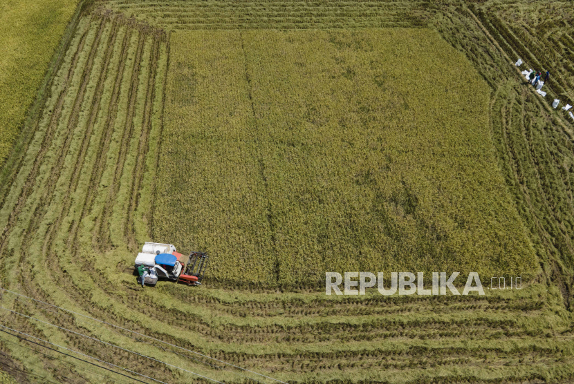 Foto udara operator mengoperasikan mesin pertanian untuk memanen padi di Kabupaten Pinrang, Sulawesi Selatan, Ahad (7/4/2024). Sejumlah daerah di Sulsel telah memasuki masa panen raya padi hingga Mei 2024 dan Perum Bulog Wilayah Sulawesi Selatan dan Sulawesi Barat akan memaksimalkan penyerapan hasil panen petani dengan target sebanyak 145 ton gabah setara beras. 