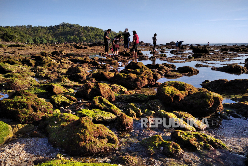 Pantai Wedi Ombo Primadona Wisata Gunungkidul Republika Online