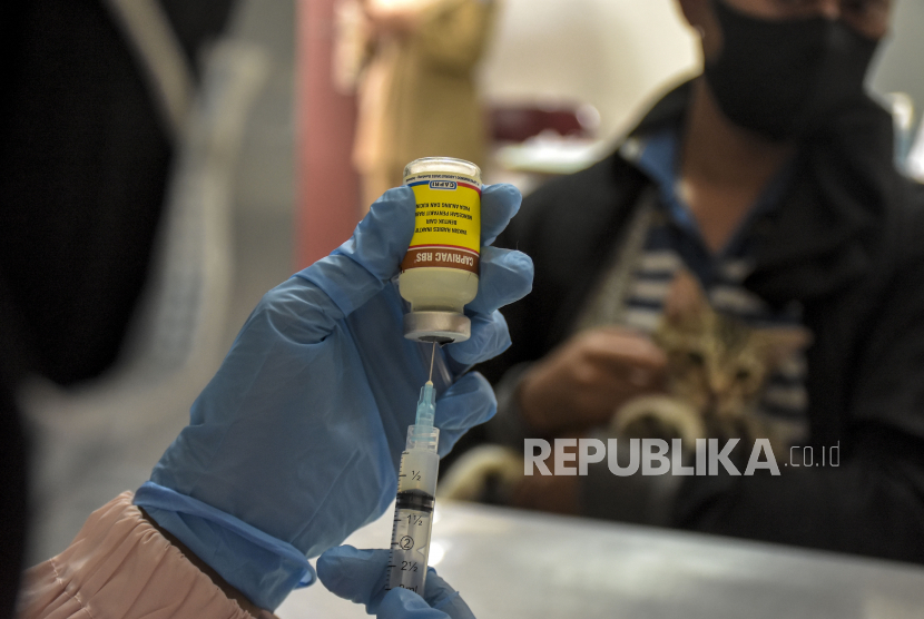 Dokter hewan menyiapkan vaksin rabies untuk disuntikkan kepada kucing di UPTD Klinik Hewan Dinas Ketahanan Pangan dan Pertanian (DKPP) Kota Bandung, Jawa Barat, Selasa (20/6/2023).