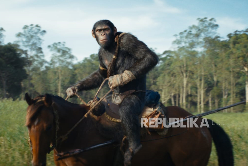 Foto adegan dalam film Kingdom of the Planet of the Apes. Sutradara Wes Ball menghadirkan deretan tokoh yang sama sekali baru di film ini.
