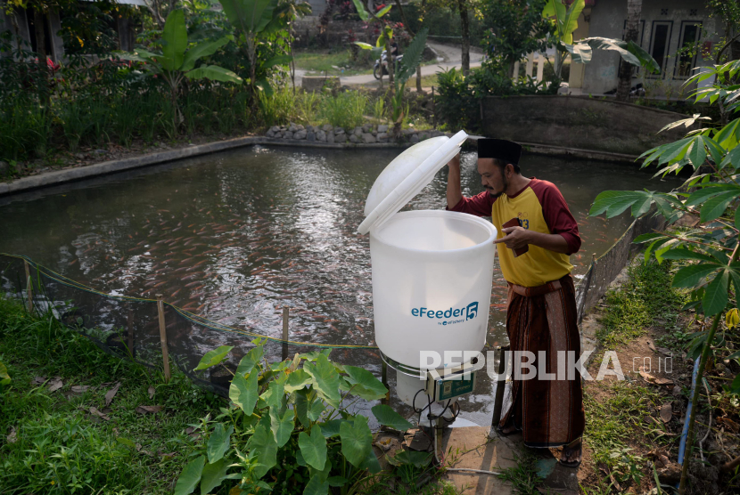 Pembudidaya Ikan Andi mengecek di Automatic Feeder atau alat pakan otomatis eFishery di kolamnya di Kampung Telaga, Desa Nembol,  Mandalawangi, Pandeglang, Banten, Selasa (5/9/2023). 