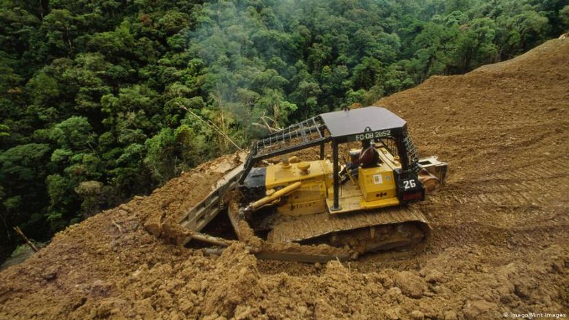 Selama Lockdown, Masyarakat Adat Rentan Kehilangan Tanah