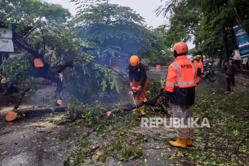Petugas dan warga berupaya mengevakuasi pohon tumbang yang menutup Jalan Lingkar Dadaha, Kelurahan Nagarawangi, Kecamatan Cihideung, Kota Tasikmalaya, Jawa Barat, Senin (4/12/2023). 