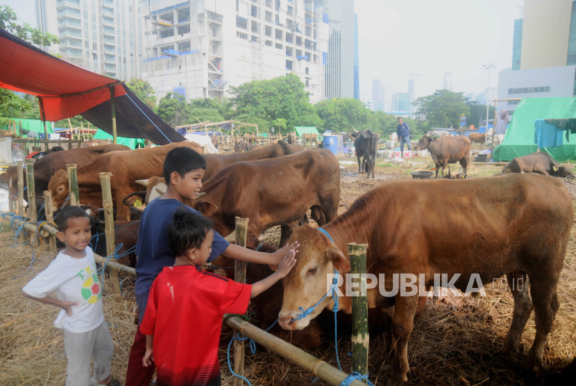 Anak-anak mengelus sapi di Tempat Penampungan Hewan Kurban di Kuningan, Jakarta Selatan, Jumat (23/6/2023). IDEAS memproyeksikan potensi ekonomi kurban Indonesia tahun ini sebesar Rp 24,5 triliin.