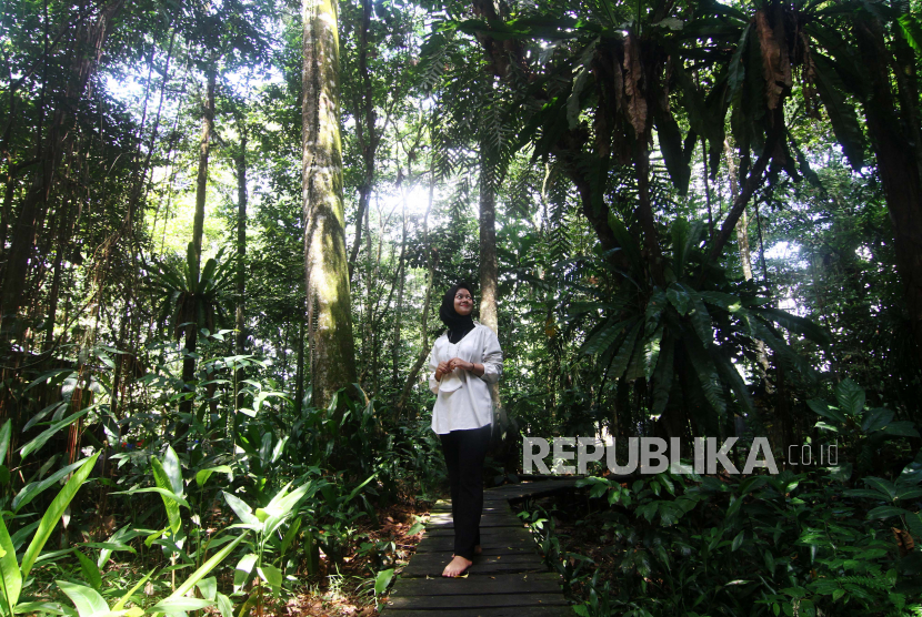 Seorang pengunjung menyaksikan pemandangan miniatur hutan tropis Arboretum Sylva Universitas Tanjungpura di Pontianak, Kalimantan Barat, Selasa (8/6/2021). Hutan Arboretum Sylva Untan yang berada di tengah Kota Pontianak dan memiliki 214 spesies tumbuhan endemik Kalimantan tersebut dapat dikunjungi masyarakat maupun wisatawan. 