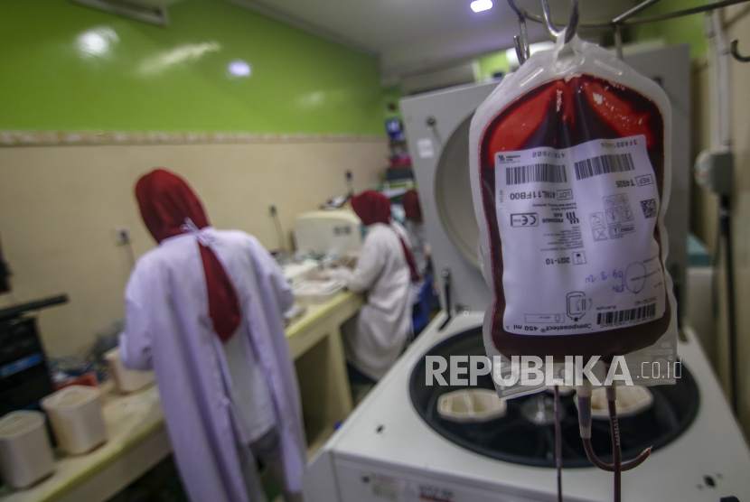 Petugas PMI Kota Tangerang menyaring darah di laboratorium darah di kantor PMI. Ilustrasi