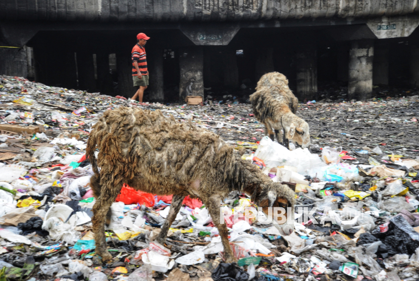 Warga melintas didekat tumpukan sampah yang berada di kolong jalan tol Papanggo, Jakarta, Kamis (17/4/2025).