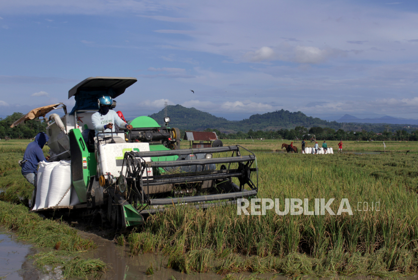 Operator mengoperasikan mesin pemanen padi di area persawahan Romang Lompoa, Kabupaten Gowa, Sulawesi Selatan. Deputi Bidang Koordinasi Pangan dan Agribisnis, Kementerian Koordinator Perekonomian, Musdhalifah Machmud menyampaikan bahwa tahun ini ada peningkatan tenaga kerja pada sektor pertanian, yakni sekitar 2,23 persen.