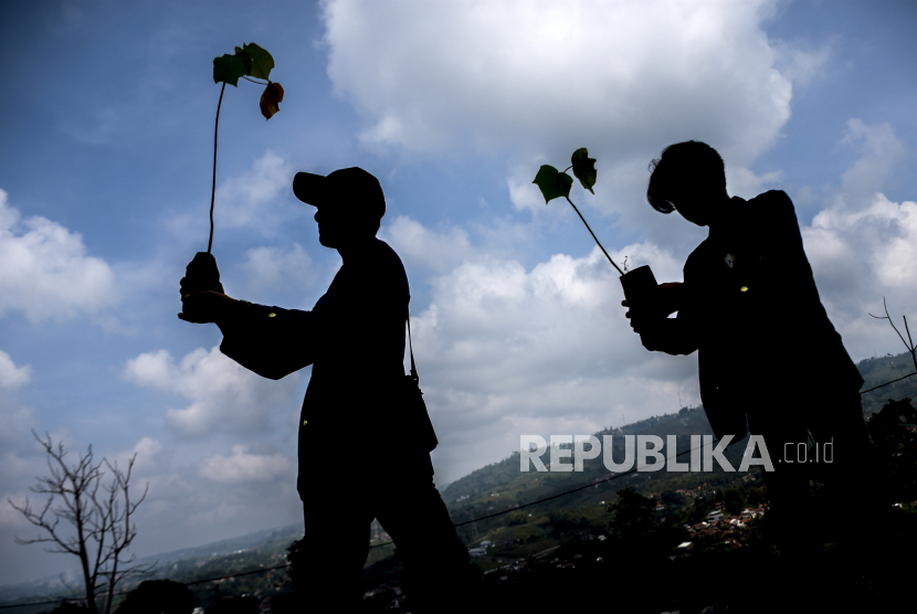 Ilustrasi penanaman pohon. Memperingati Hari Air Sedunia tahun 2023, PT Pupuk Kalimantan Timur (Pupuk Kaltim) atau PKT melalui program Employee Volunteering Initiation (Evolution) mengajak seluruh karyawan menanam 1.000 pohon dari rumah