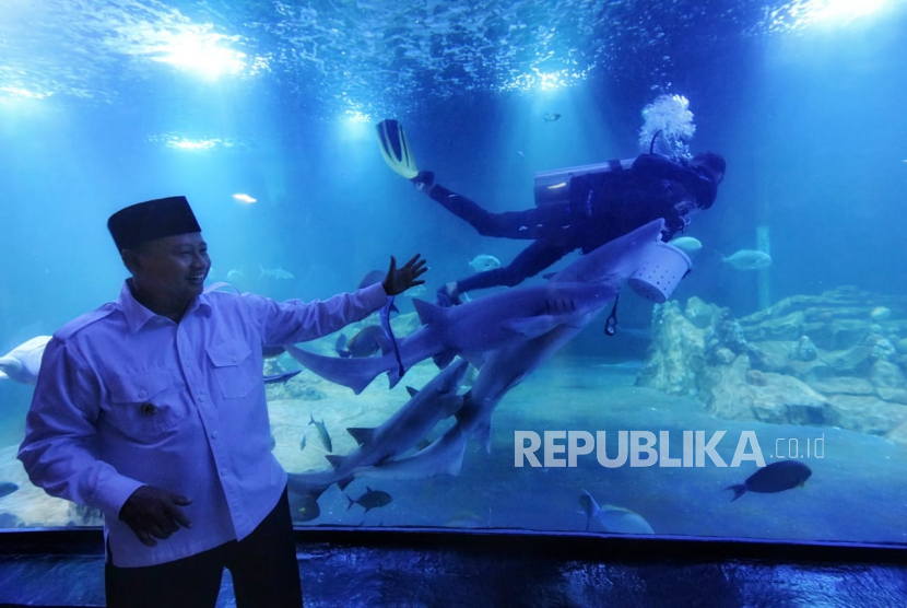 Wakil Gubernur Jawa Barat Uu Ruzhanul Ulum saat meninjau Aquarium Indonesia Pangandaran di Kabupaten Pangandaran, Senin (30/1/2023).