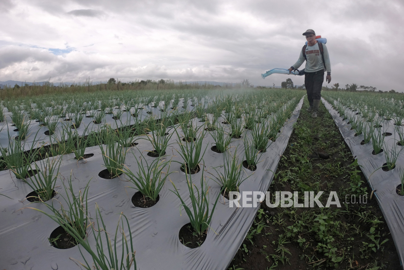 Peneliti Lembaga Penyelidikan Ekonomi dan Masyarakat (LPEM) Universitas Indonesia (UI), Riyanto, mengapresiasi naiknya ekspor pertanian periode April 2021 hingga 18,98 persen (YoY). (Ilustrasi).