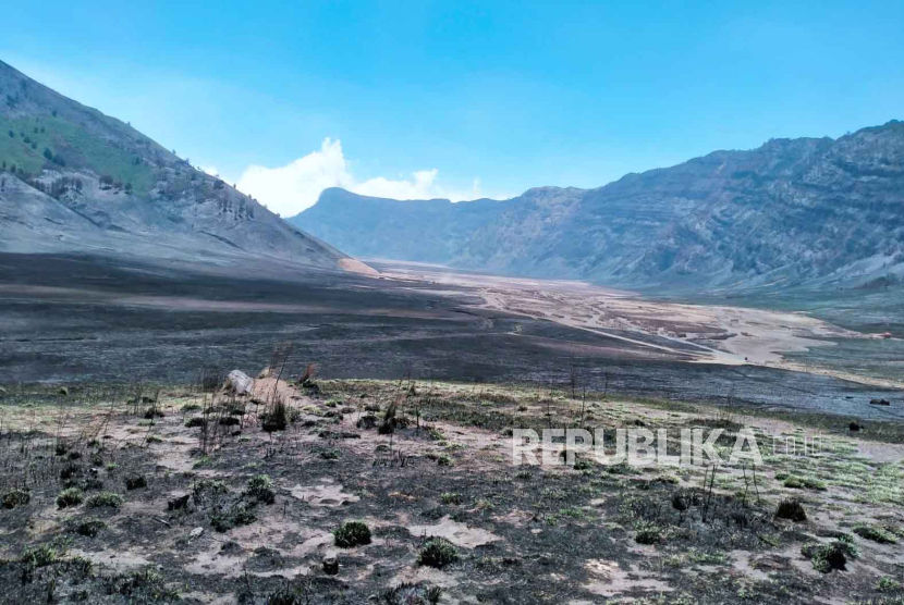 Kondisi kawasan wisata Gunung Bromo setelah mengalami kebakaran, Kamis (21/9/2023). 