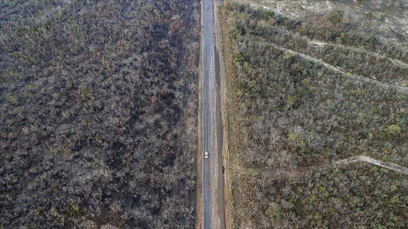 Data menunjukkan bahwa deforestasi mencapai laju terparah sejak 2008, ketika program pemantauan mencatat deforestasi seluas 12.911 km persegi - Anadolu Agency