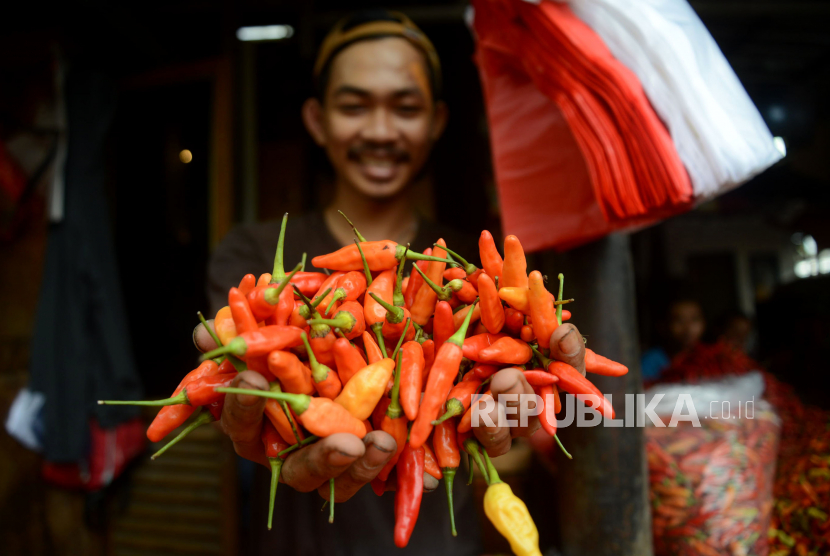 Pedagang menunjukan cabai dagangannya di Pasar Senen, Jakarta, Senin (27/2/2023). 