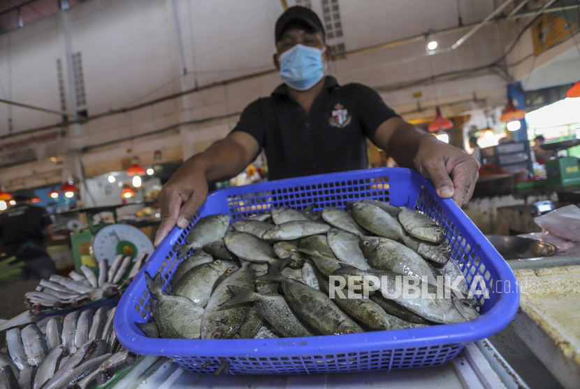 Jelang Imlek, Nelayan Batam Siap Berburu Ikan Dingkis. Pedagang menjual ikan Dingkis (Siganus canaliculatus) di Pasar Pagi Mitra Raya, Batam, Kepulauan Riau.
