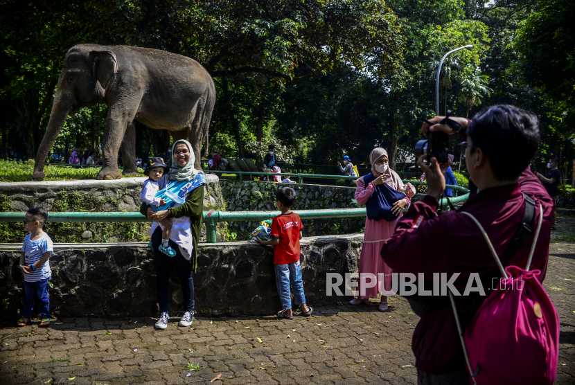 Taman Marga Satwa Ragunan siap menerima pengunjung mulai Sabtu 23 Oktober (ilustrasi).