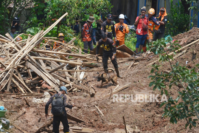 Petugas melakukan pencarian korban dengan menggunakan anjing pelacak di lokasi longsor di Kampung Gintung Desa Cibenda, Kecamatan Cipongkor, Kabupaten Bandung Barat, Senin (25/3/2024). Sebanyak 9 orang warga diduga tertimbun dan belum ditemukan dalam peristiwa longsor yang terjadi Ahad (24/3/2024) malam. Proses pencarian korban masih dilakukan oleh petugas gabungan.