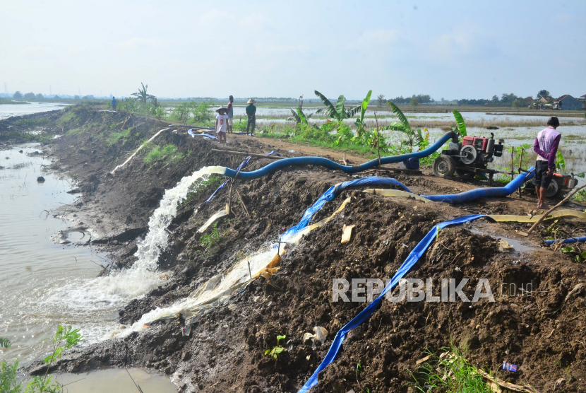 Petani mengoperasikan mesin pompa air di lahan pertanian yang terendam banjir