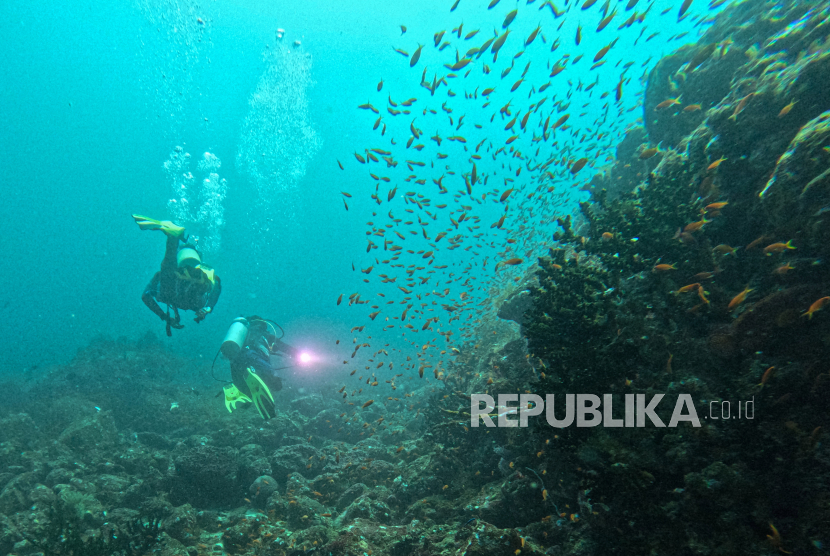 Pengunjung menyelam untuk menikmati keindahan bawah laut lokasi selam (dive site) Batee Tokong, di Desa Iboih, Kota Sabang, Aceh.