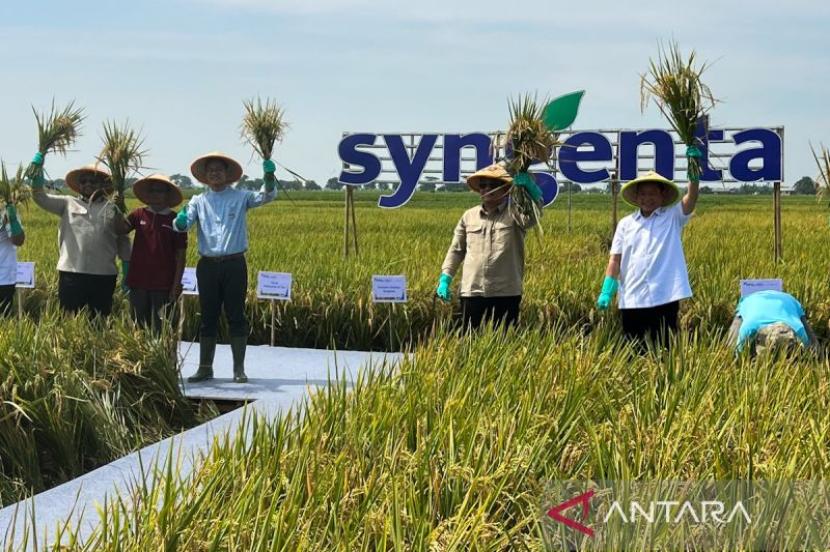 Pemerintah mendorong petani muda untuk mengadopsi pertanian presisi.