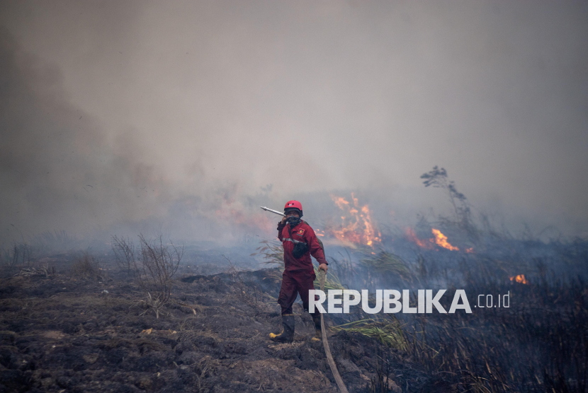 Personel Manggala Agni Daops Sumatera XIV-Banyuasin menarik selang air untuk memadamkan kebakaran lahan di Desa Muara Baru, Pemulutan, Ogan Ilir (OI), Sumatera Selatan, Jumat (25/9/2026).
