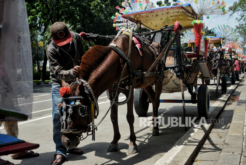 warga berjalan di samping antrean andong atau delman saat berwisata di area luar Monumen Nasional, Jakarta. Pemerintah Kota Jakarta Pusat segera melarang keberadaan delman di kawasan Monumen Nasional (Monas), apalagi pelarangan itu telah ada dasar hukumnya sejak tahun 2016.