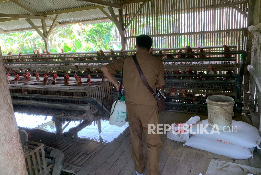 Petugas melakukan disinfeksi di peternakan ayam wilayah Kabupaten Ciamis, Jawa Barat, sebagian bagian dari penerapan biosekuriti untuk mencegah penyebaran penyakit, termasuk flu burung. 