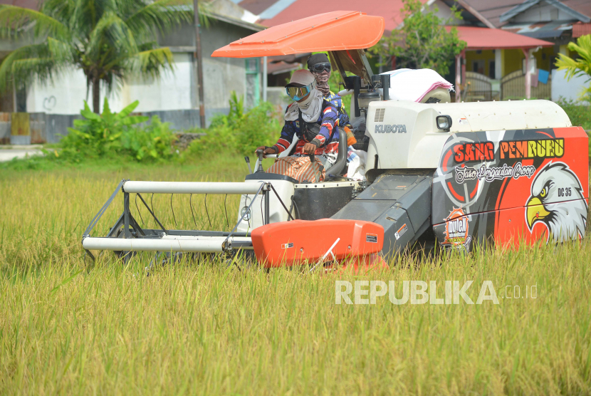 Operator menjalankan mesin panen padi di areal pesawahan Sungai Lareh, Padang, Sumatera Barat, Selasa (22/2/2022). El nino tidak berdampak pada produksi padi di Padang.