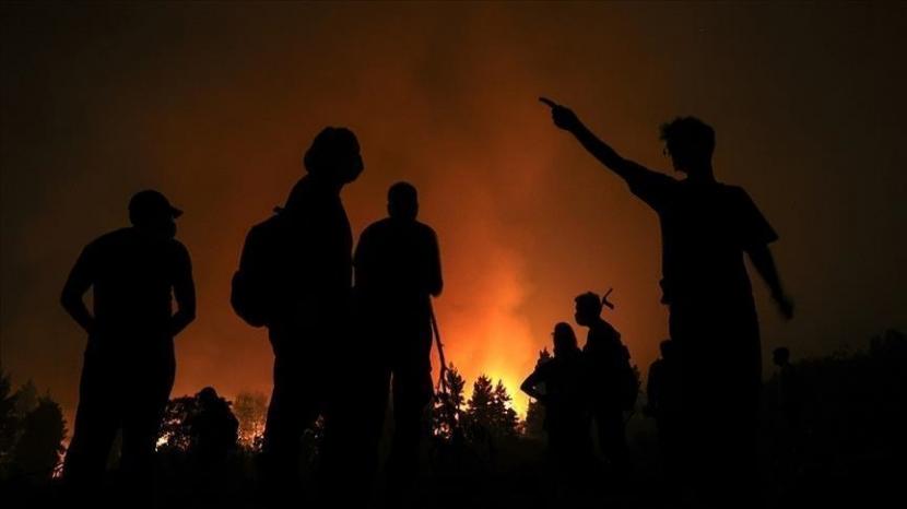 Aljazair pada Rabu (11/8) melaporkan korban tewas akibat kebakaran hutan di wilayahnya bertambah menjadi 65 orang, di antaranya termasuk 28 tentara.