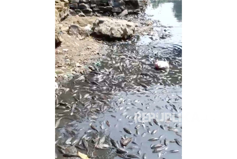 Komunitas Peduli Sungai Cileungsi Cikeas (KP2C), meninjau dan menemukan pencemaran di Sungai Cileungsi. Kondisi pencemaran di Sungai Cileungsi Bogor makin parah dengan air menghitam dan bau.