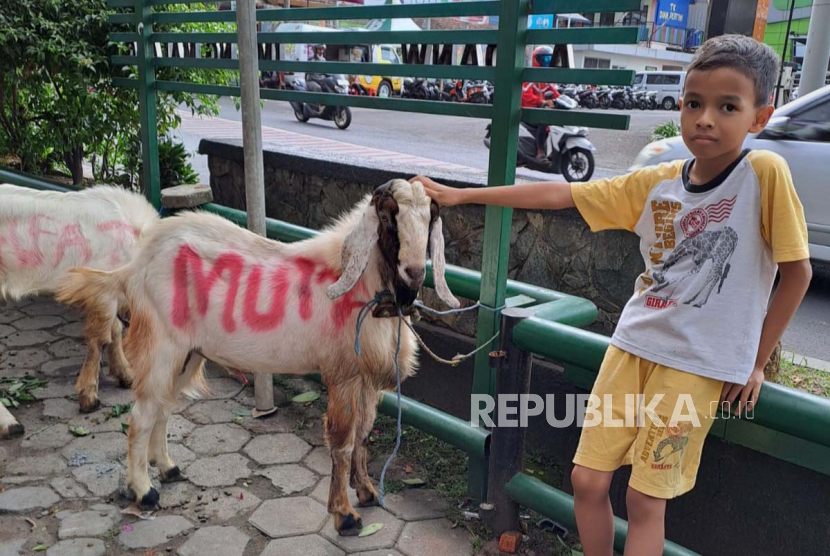Anak kelas 4 Sekolah Dasar (SD) asal Malang, Muhammad Izzuddin  membeli kambing untuk Idul Adha dari hasil tabungannya selama bertahun-tahun. Dok. Pribadi