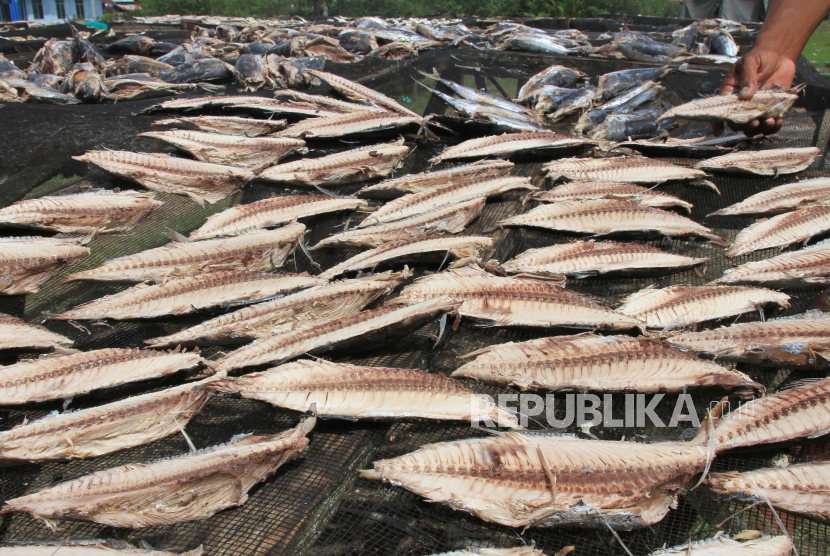 Pekerja menjemur ikan tongkol untuk pembuatan ikan kayu (keumamah) di salah satu tempat produksi Desa Padang Seurahet, Kecamatan Johan Pahlawan, Aceh Barat, Aceh, Sabtu (19/12/2020). Pelaku usaha mengaku, sejak sebulan terakhir permintaan ikan kayu meningkat hingga 80 persen dari biasanya, tapi pasokan ikan tongkol dari nelayan berkurang sehingga mempengaruhi kenaikan harga ikan kayu dari Rp17.000 per kilogram menjadi Rp35.000 per kilogram. 